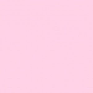 Meet your Posher, Priscilla